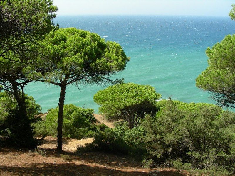 La Aceitera De Trafalgar Barbate Luaran gambar